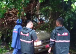 Banjir di Surabaya Hingga Pohon Roboh Timpa Mobil Satpol PP