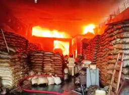 Gudang Penyimpanan Kemiri di Surabaya Kebakaran