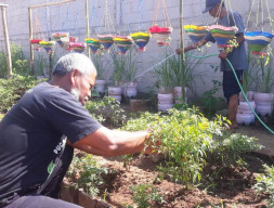 Kampung Bunga Purworejo Memanen Ketahanan Pangan