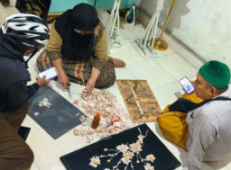 Kulit Bawang Putih Disulap Jadi Lukisan, Dari Limbah Jadi Karya