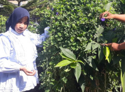 Bunga Telang, Maskot Sekargadung Kota Pasuruan