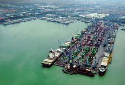 Arus Peti Kemas Tanjung Perak Melonjak 20%