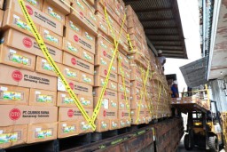 BPOM Kawal Pemusnahan Cemaran Obat EG/DEG