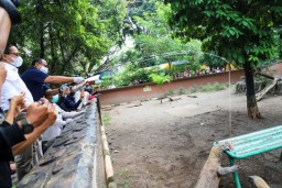 Pelindo III Menjadi Orang Tua Asuh Satwa Komodo