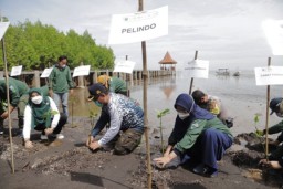 Pelindo Regional 3 Hijaukan Pesisir Indonesia