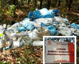 KPH Pasuruan Timbun Limbah di Hutan Produksi
