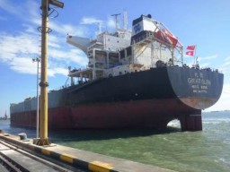Kapal Hongkong Sandar di Teluk Lamong