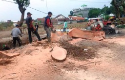Proyek Kuliner Pandaan Berlanjut Meski tak ber-IMB