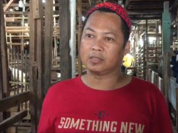 Dampak Wabah PMK, Harga Kambing Kurban di Kalsel Meroket