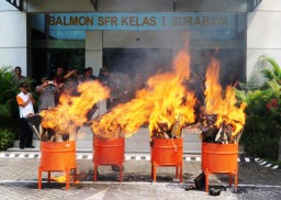 Balmon SFR Musnahan 231 Alat Frekuensi Ilegal