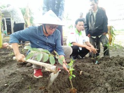 Petani Keluhkan Harga Gula Dipasar