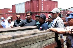 Komisi IV DPR RI Tinjau Ratusan Kayu Merbau Ilegal