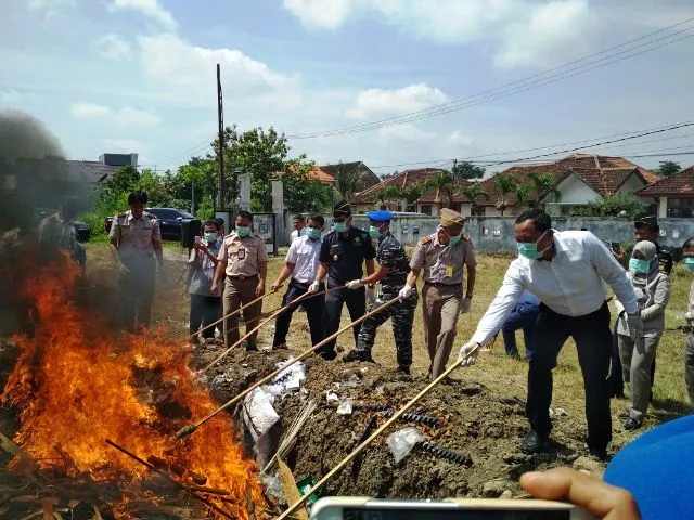 BBKP Musnahkan Komoditas Tumbuhan dan Hewan