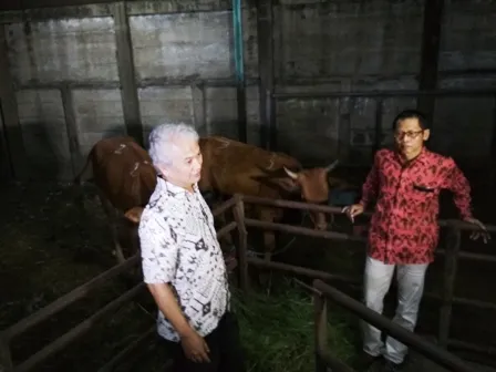 Stok Daging Sapi Ramadhan di Surabaya Aman
