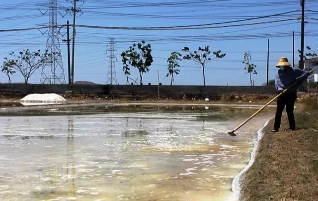 Kemarau Panjang, Petani Pakal Panen Garam