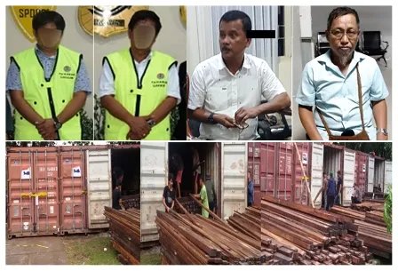 Tersangka Kayu Papua Segera Sidang di Sulawesi