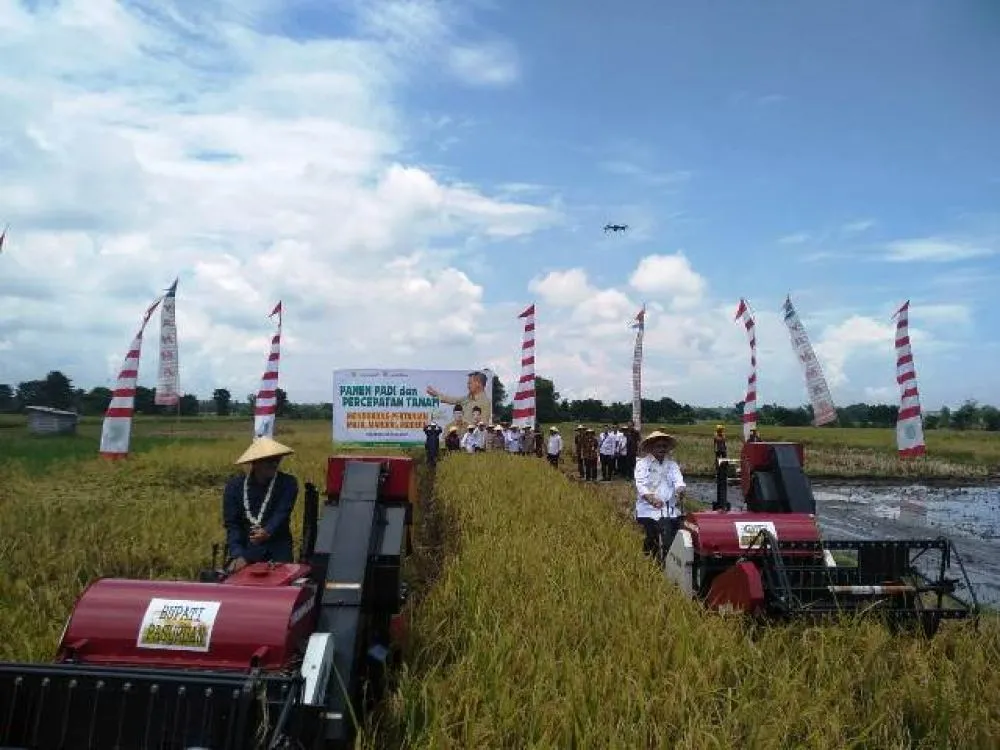 Menteri Pastikan Impor Bawang Putih Tiongkok