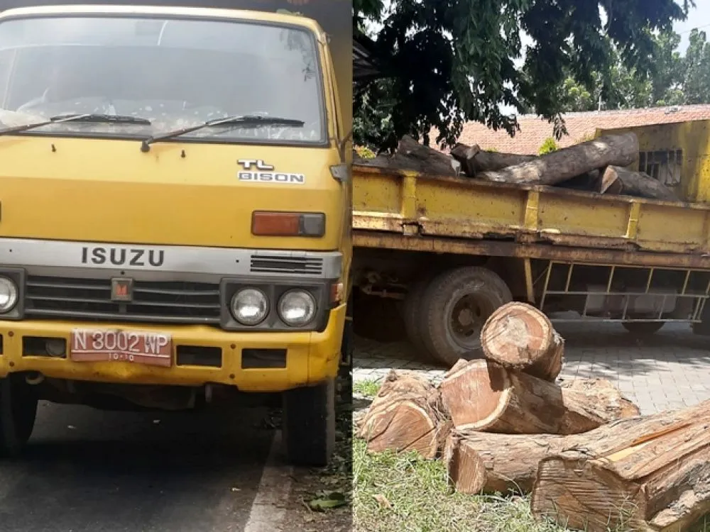 Polisi Amankan Truk Plat Merah Muatan Kayu Ilegal