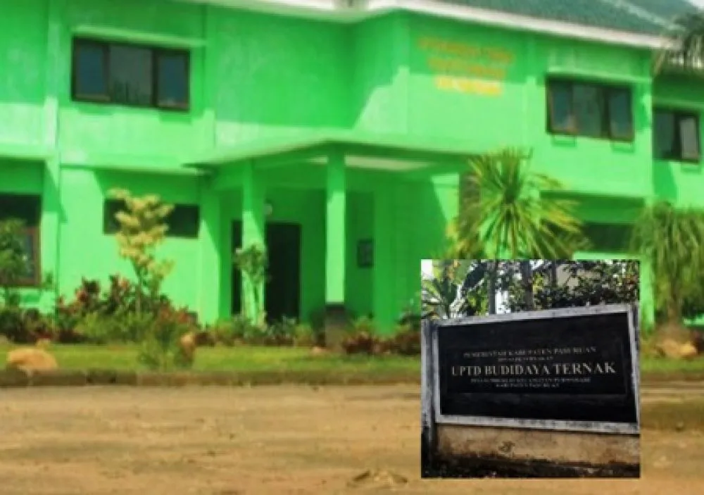 UPTD Peternakan Pasuruan Disebut tak Bermanfaat