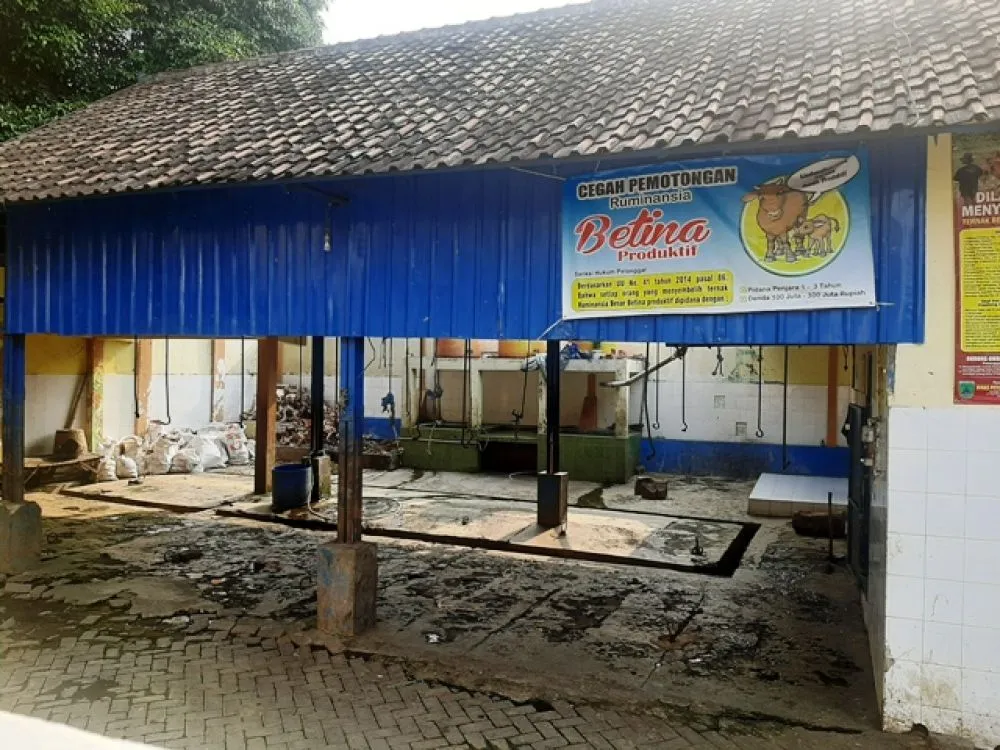 Limbah RPH Sukorejo Dibuang ke Saluran Irigasi
