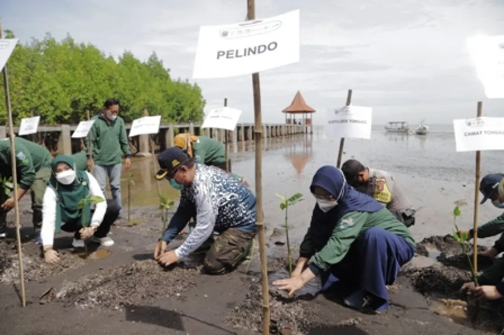 Pelindo Regional 3 Hijaukan Pesisir Indonesia