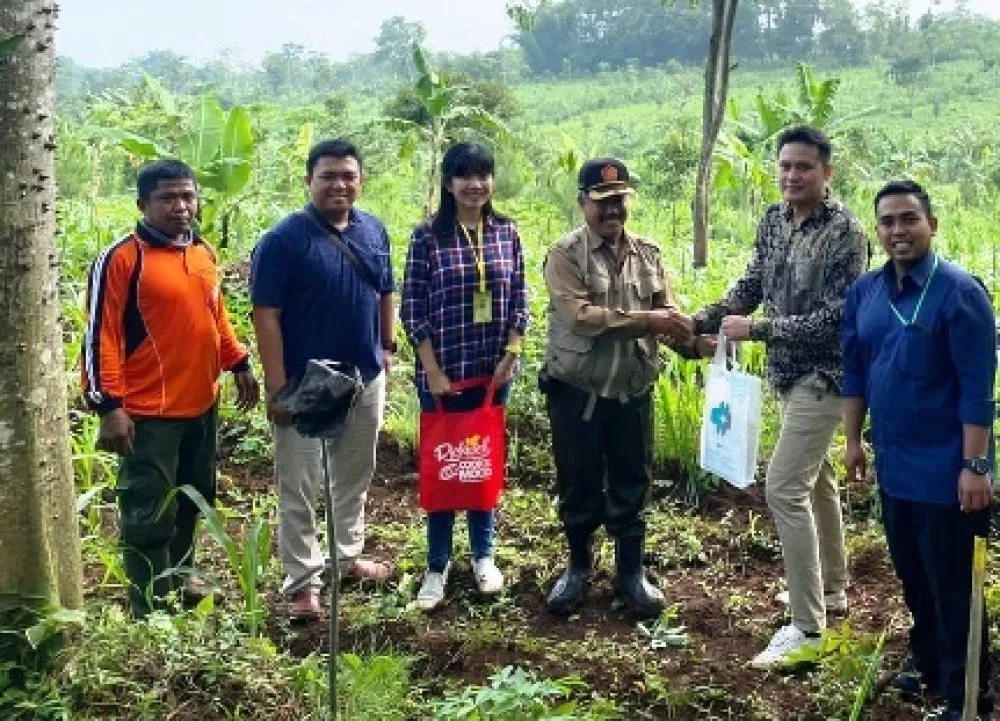 Satoria Grup Tanam Pinus di Lahan Gundul Pasuruan