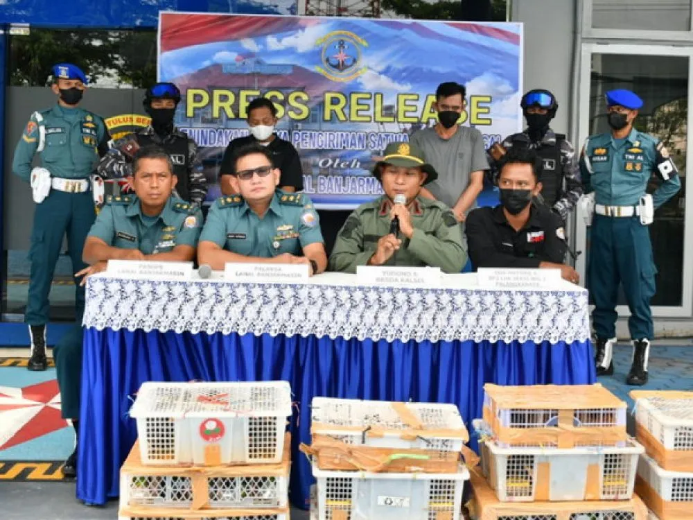 Lanal Banjarmasin Sikat Pengiriman Satwa Ilegal