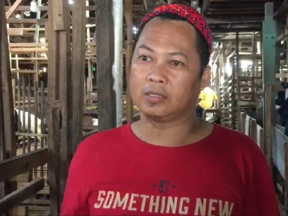 Dampak Wabah PMK, Harga Kambing Kurban di Kalsel Meroket