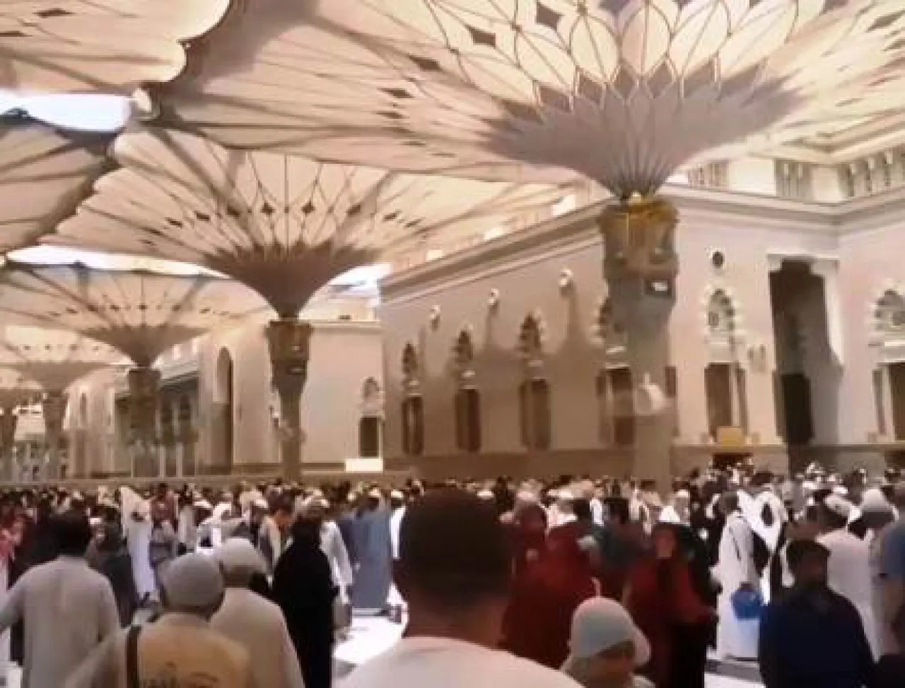 3 Jemaah Haji Indonesia Hilang di Tanah Suci