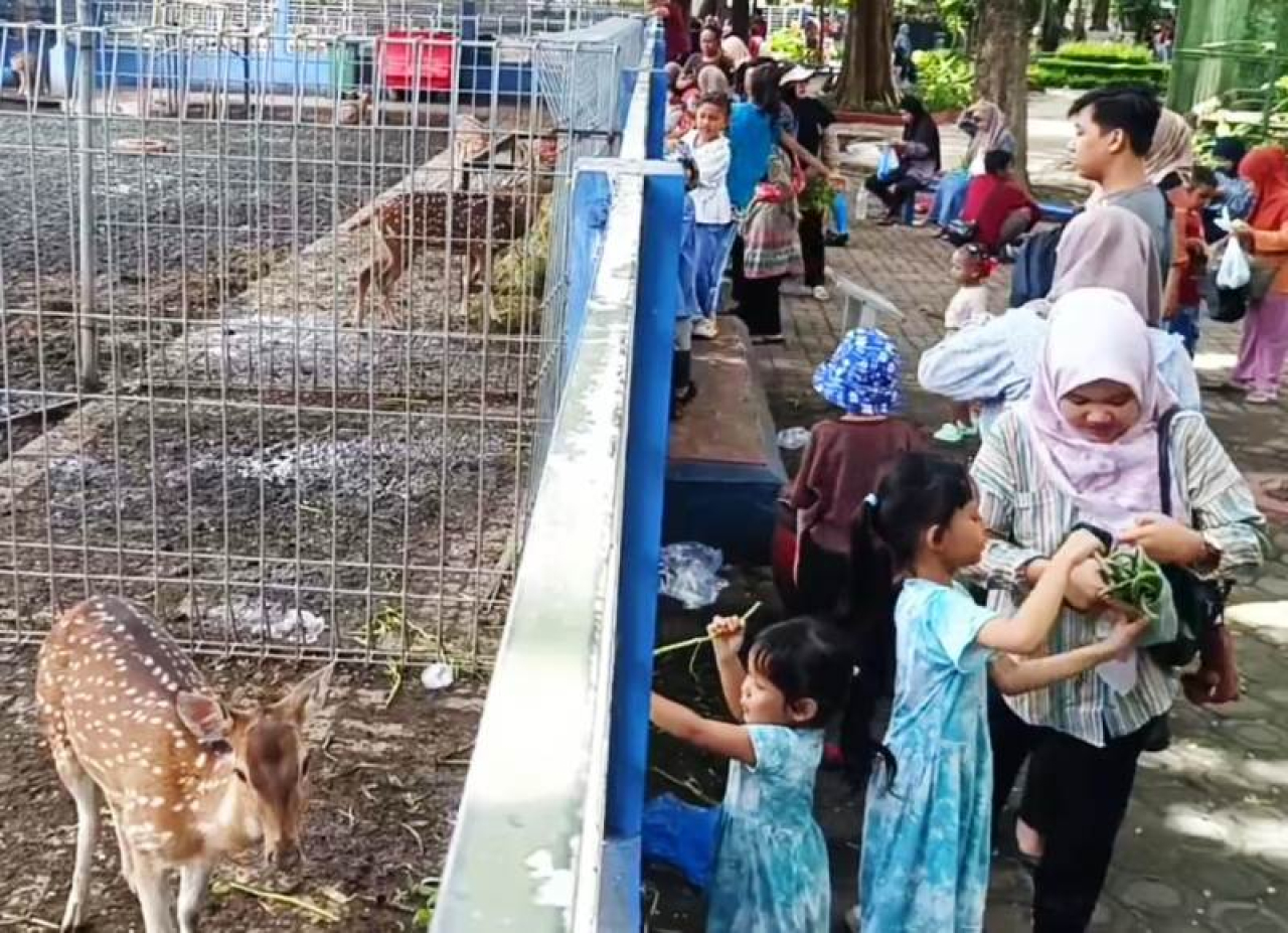 Pengunjung Taman Flora Surabaya.