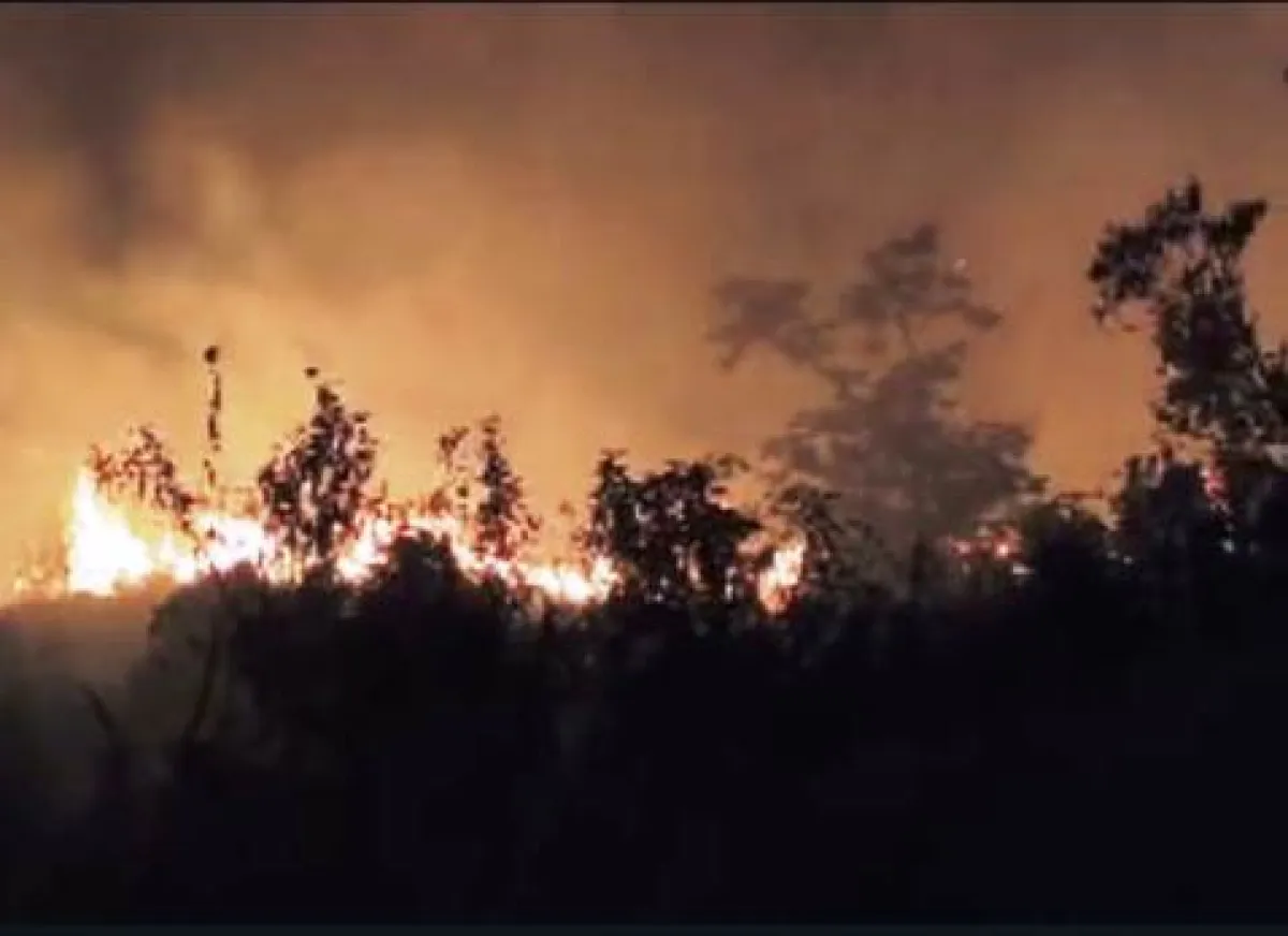 Masyarakat Pencalukan Bantu Padamkan Karhutla Gunung Arjuno