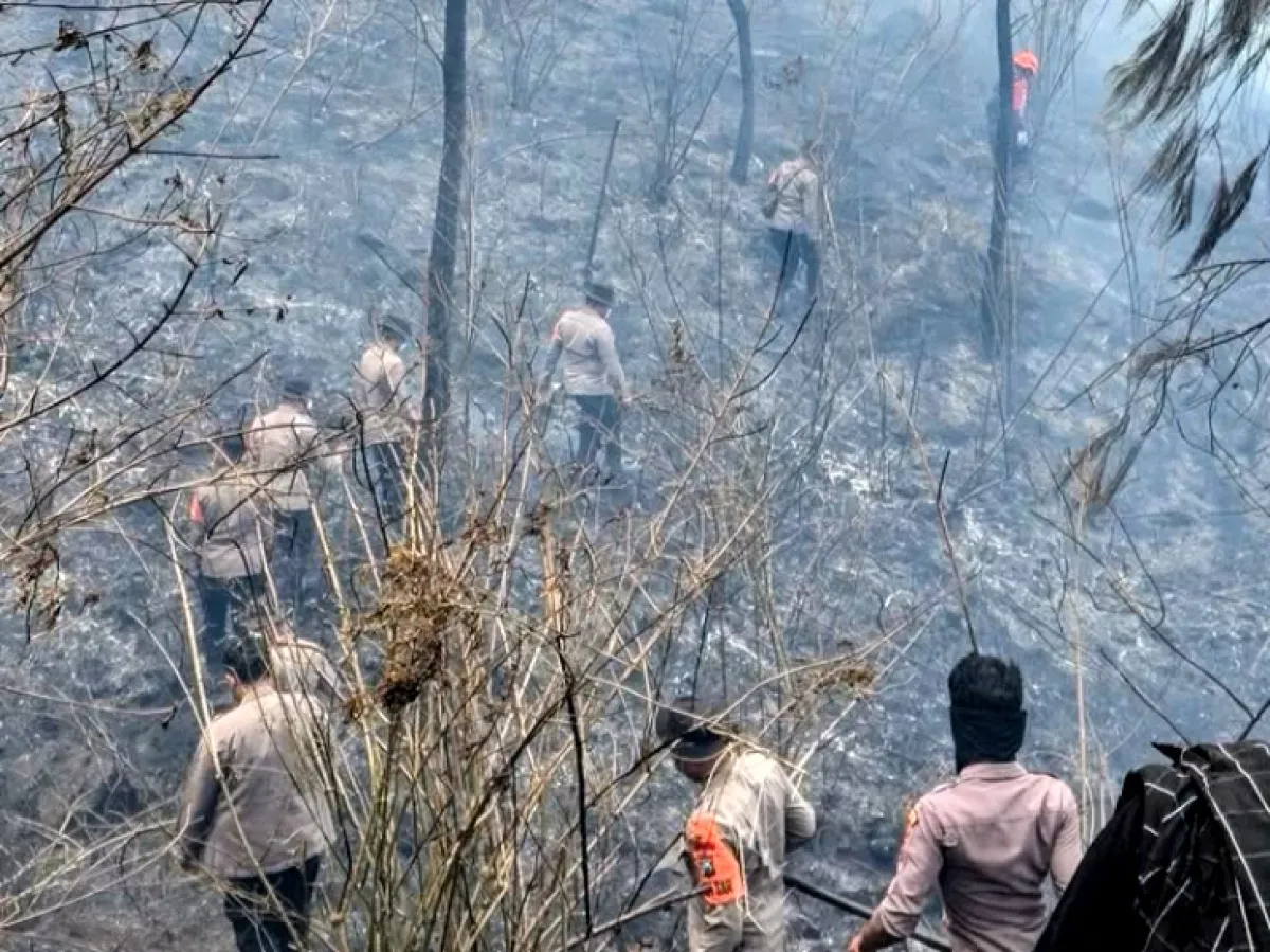 Hadapi Karhutla Arjuno-Welirang, Tim Gabungan Jaga Keselamatan