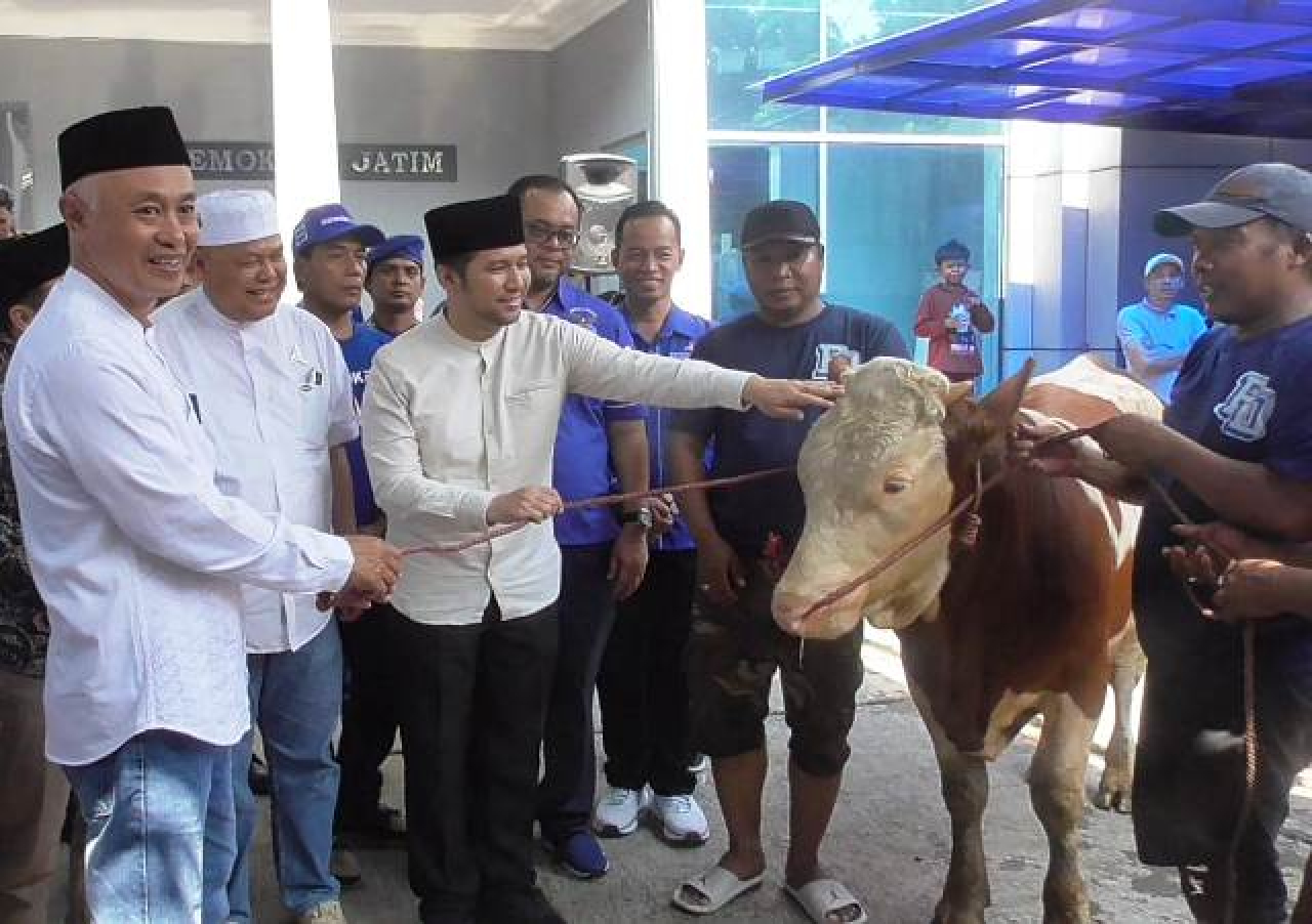 Hewan kurban Partai Demokrat Jatim