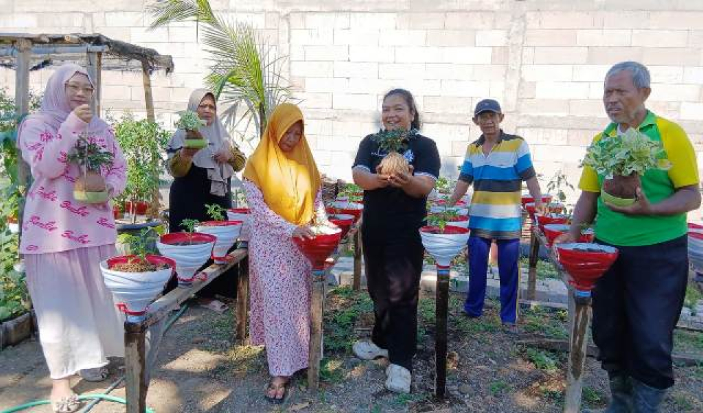 Warga pemer karya Cabai Kokedama