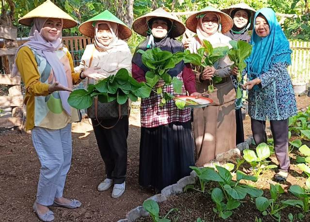 Ketika Usaha Mebel Meredup, Warga Krapyakrejo Menanam Harapan Lewat Wisata Sayur