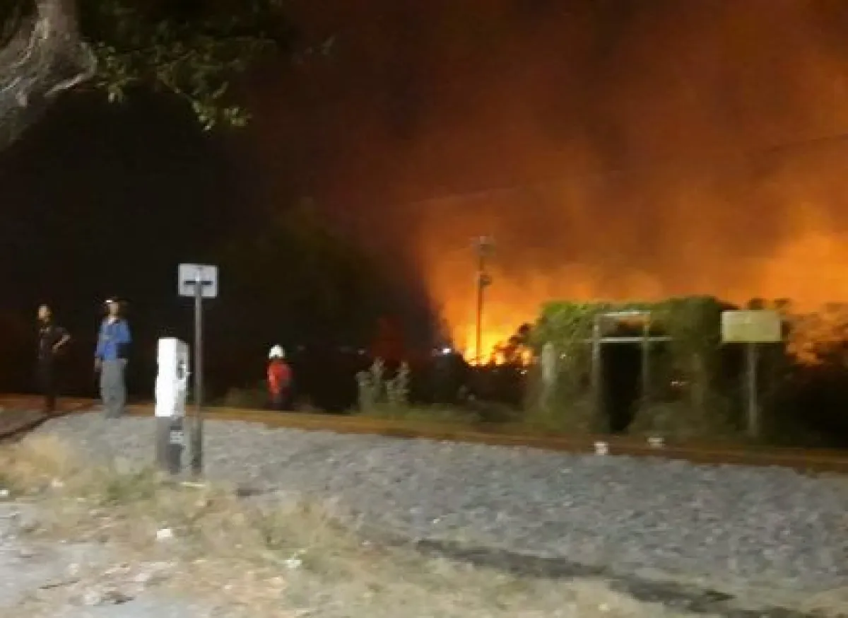 Lahan Kosong di Pasuruan Milik Pertamina Gas Terbakar