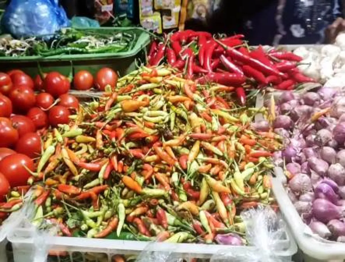 Pemerintah Pantau Harga dan Distribusi Bahan Pokok di Tengah Erupsi Gunung Berapi