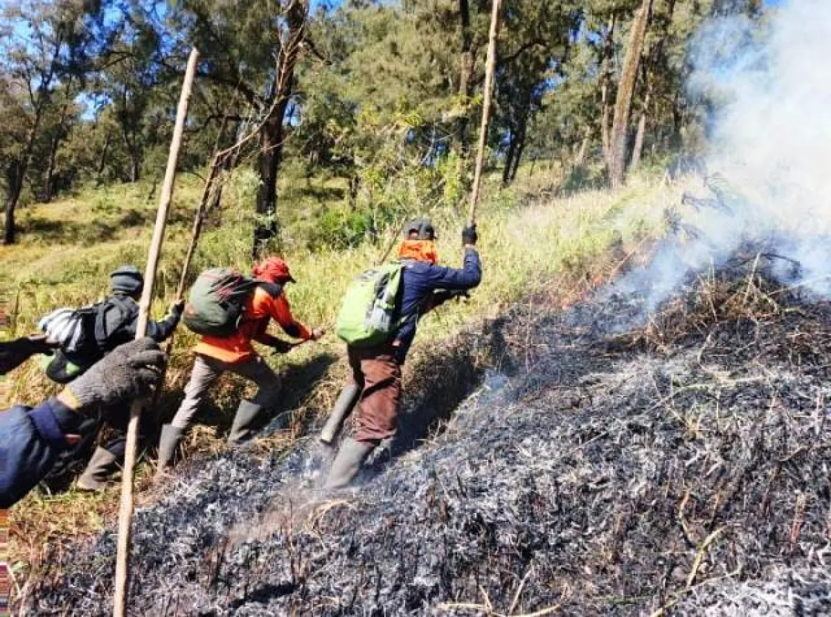 Tim Gabungan Antisipasi Karhutla Malang Merembet ke Pasuruan