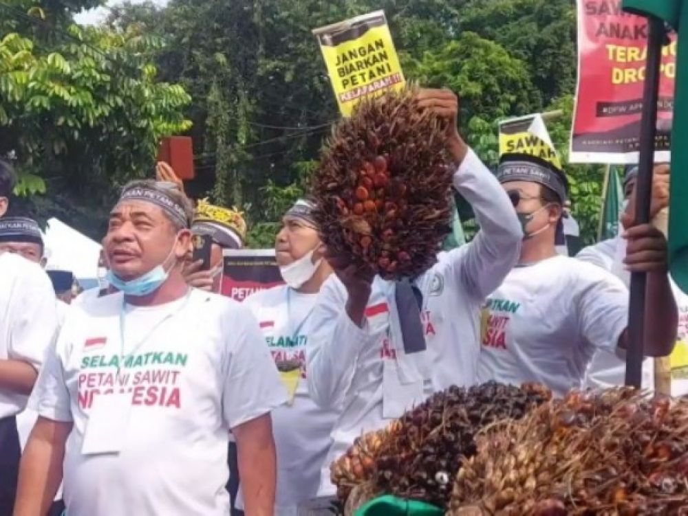 Aksi Apkasindo di depan gedung Menteri Perekonomian.