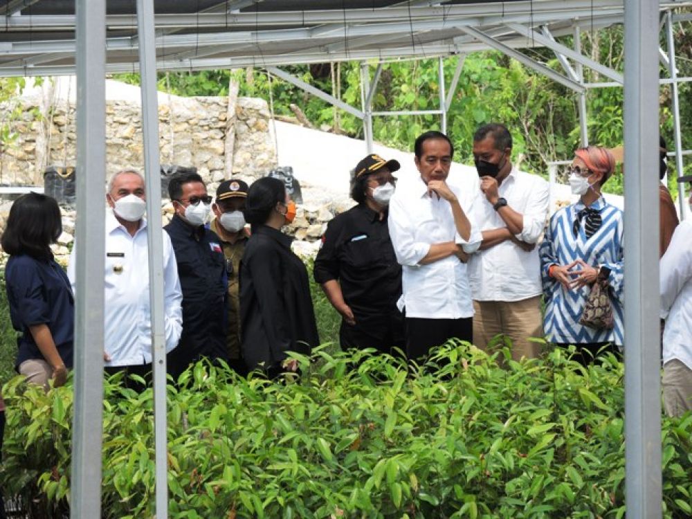Presiden Joko Widodo meninjau lokasi Persemaian Mentawir 