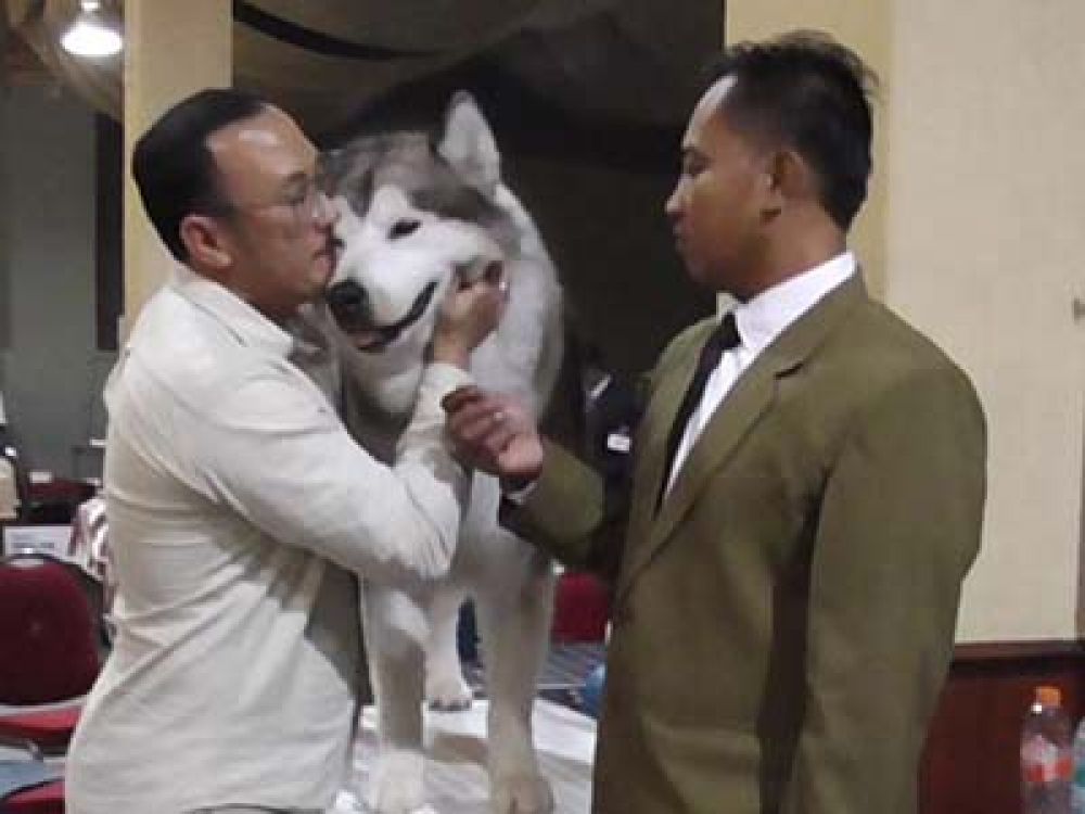 Welly Mulyono, salah satu peserta All Breed Dog Show Perkin Jatim 2023 saat memeluk anjingnya dari ras Alaskan Malamute.