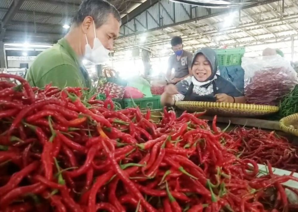 Harga Cabai dan Bawang Merah di Lampung Naik