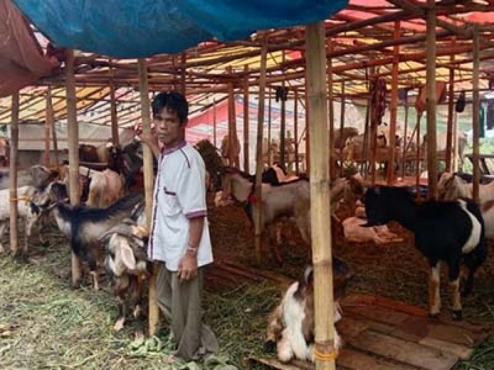Pedagang hewan kurban di Bandar Lampung, Provinsi Lampung keluhkan adanya penurun penjualan hewan kurban jelang Hari Raya Idul Adha, Minggu, 26 Juni 2022.