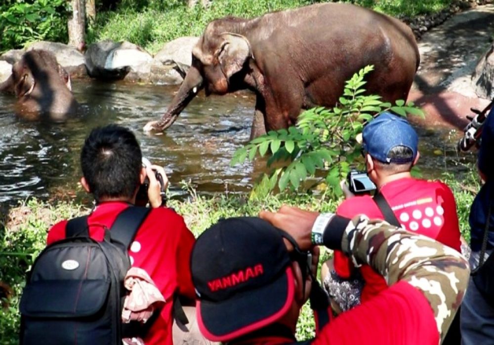 dokumen Taman Safari Prigen Pasuruan
