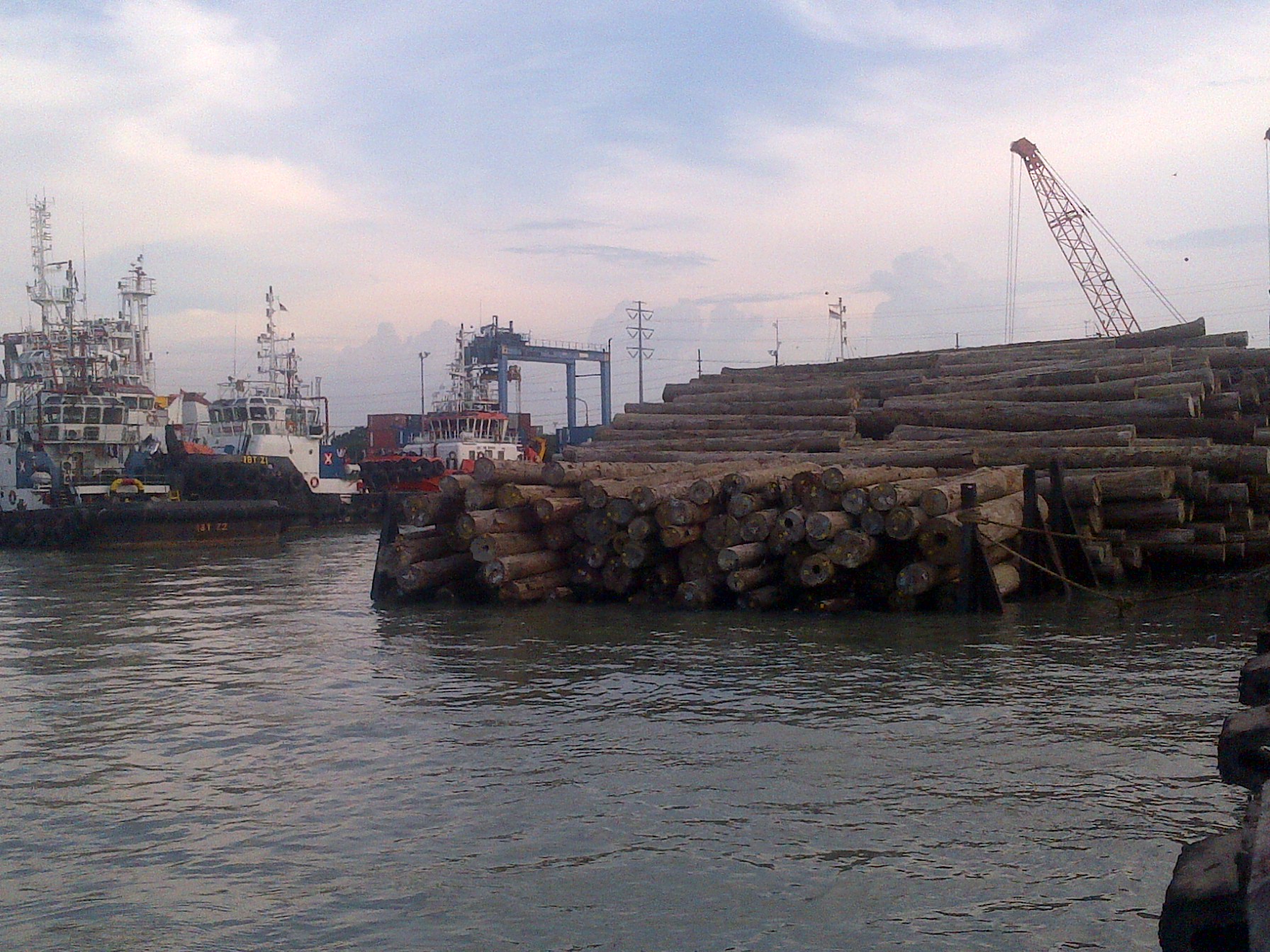 Clusterisasi Kayu Log Belum Diproses Otoritas Pelabuhan